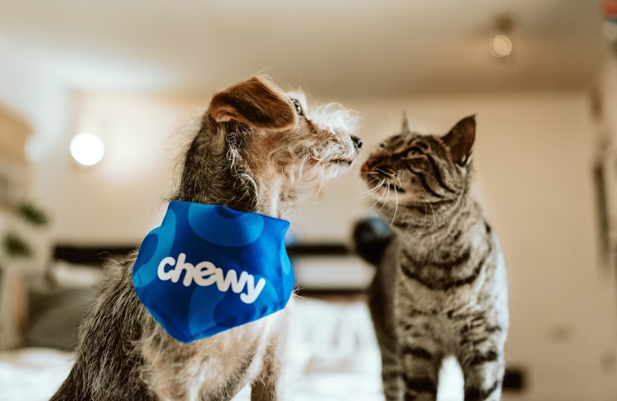 animal health technology